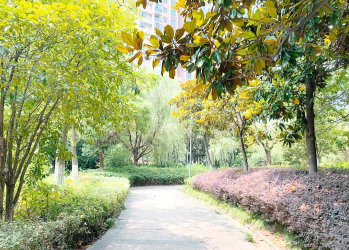 城市园林绿化三级资质标准是什么?